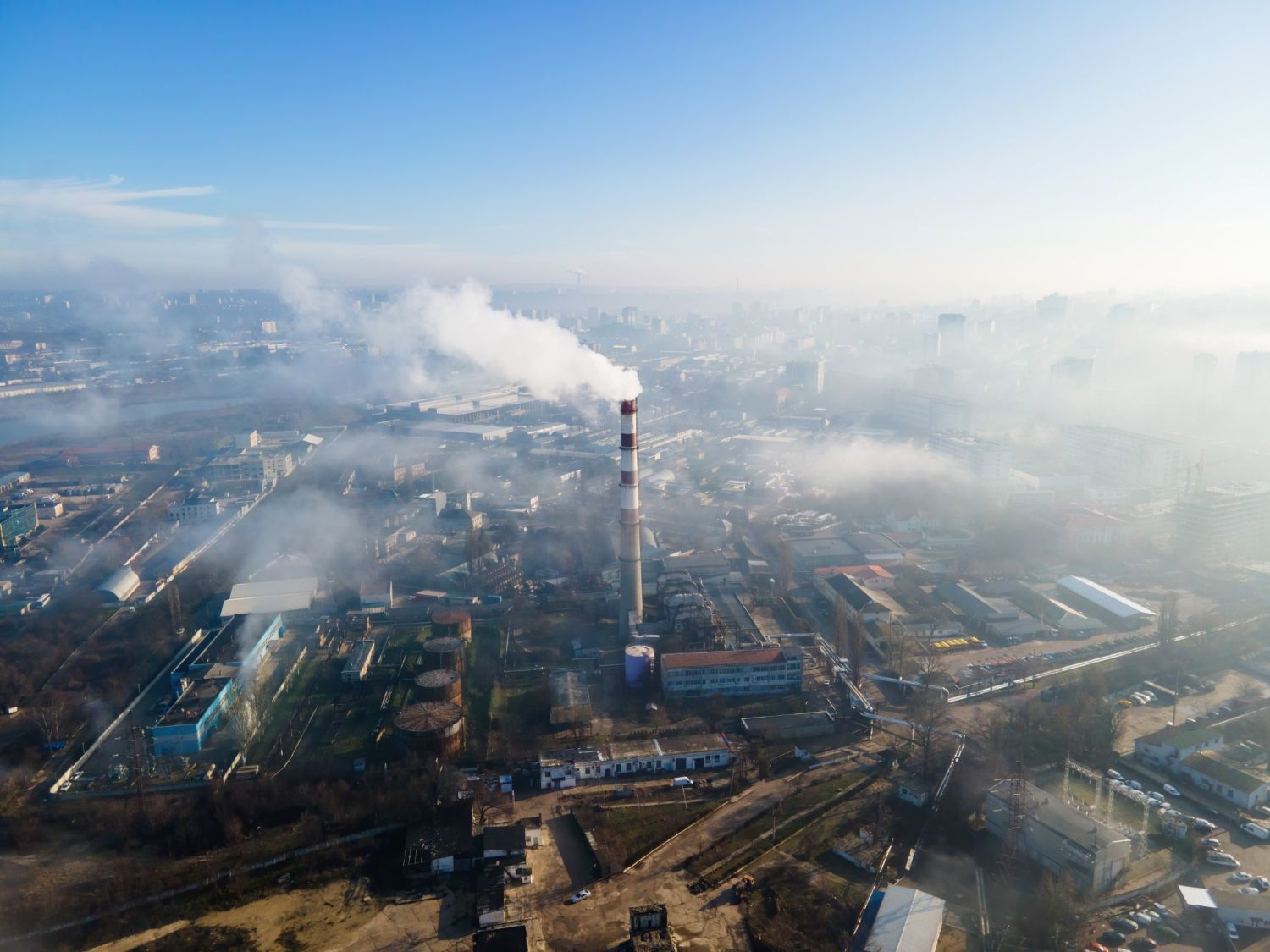EcoCheck-Thuế-carbon-02.jpg