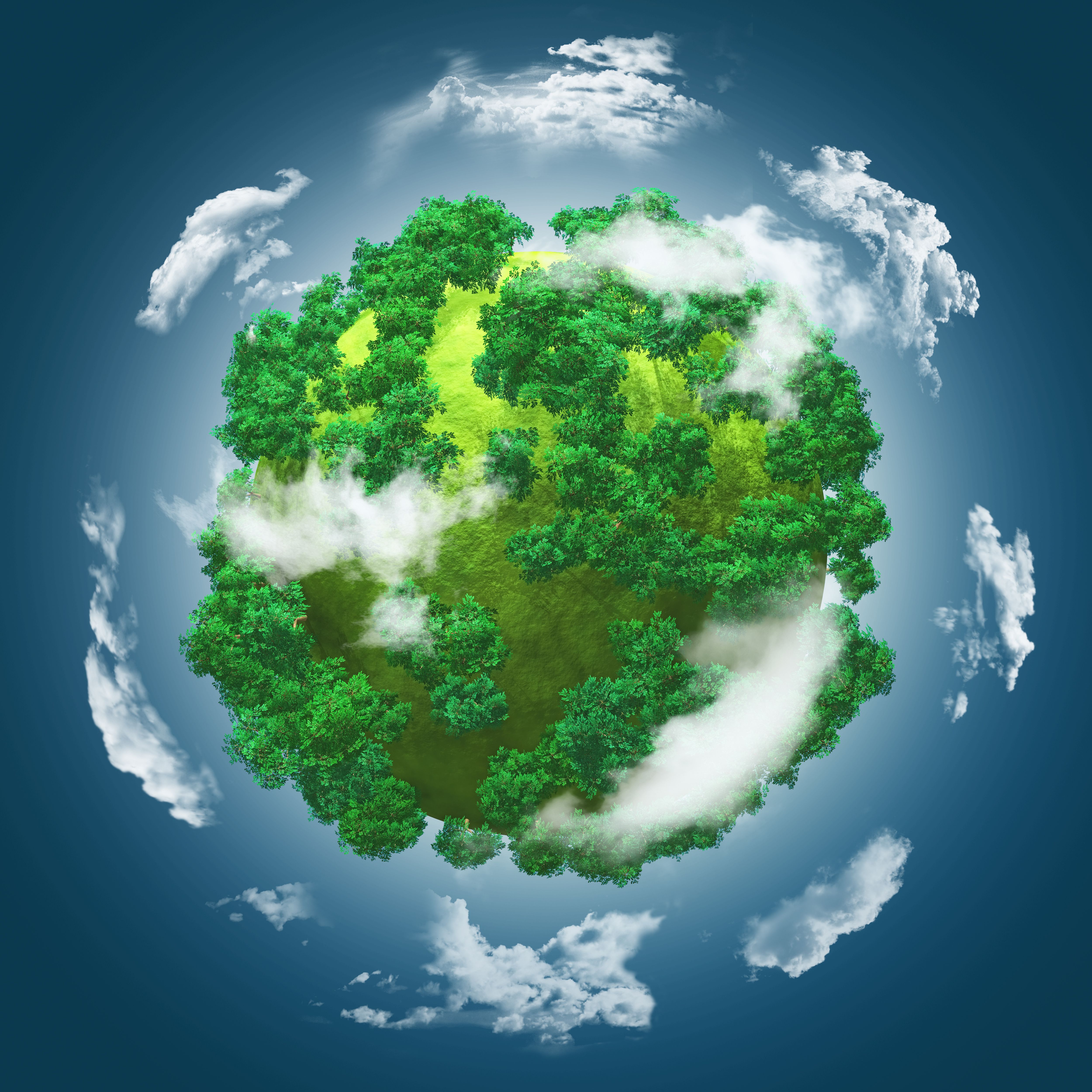 EcoCheck - Tín chỉ carbon là gì(2).jpg