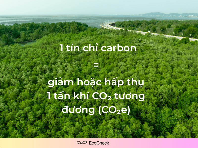 EcoCheck - Tín chỉ carbon là gì(4).png