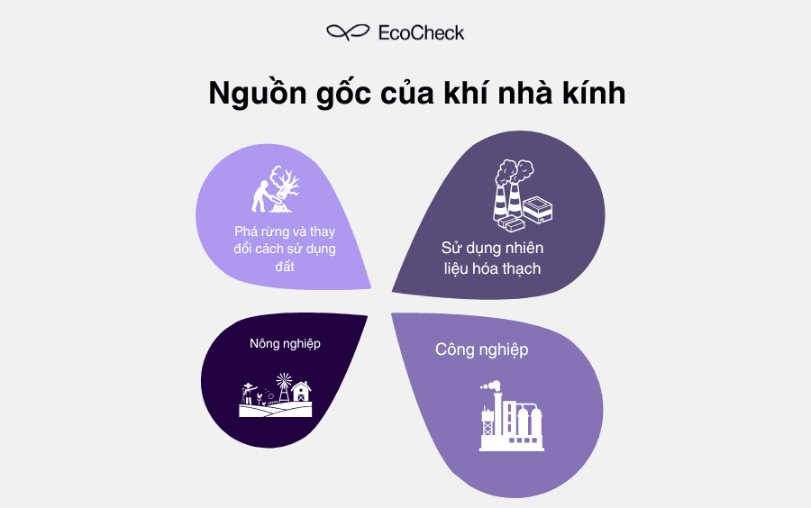 Khí nhà kính được bắt nguồn từ đâu?